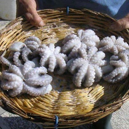 кулинарный мастер класс апулия